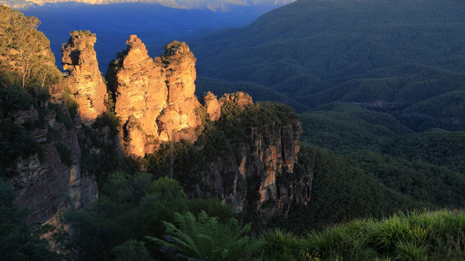 Hero image for the experience offer called: Private Full Blue Mountains Tour