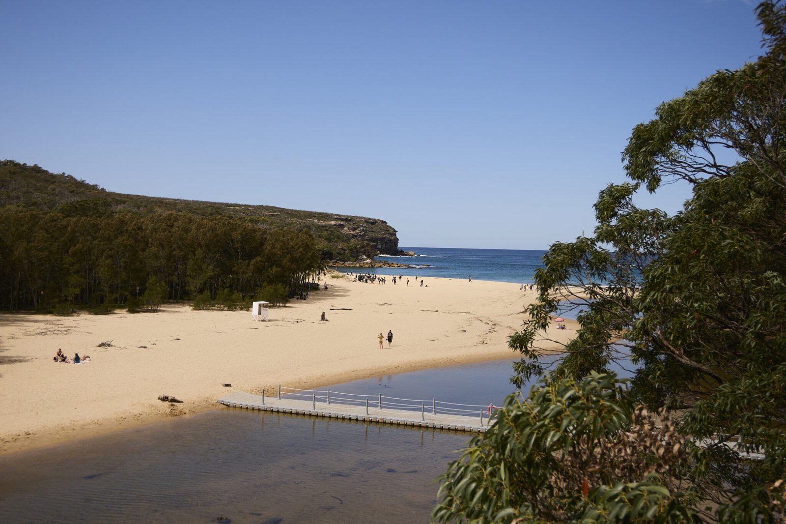 Golden sandy beach surrounded by bushland in Royal National Park