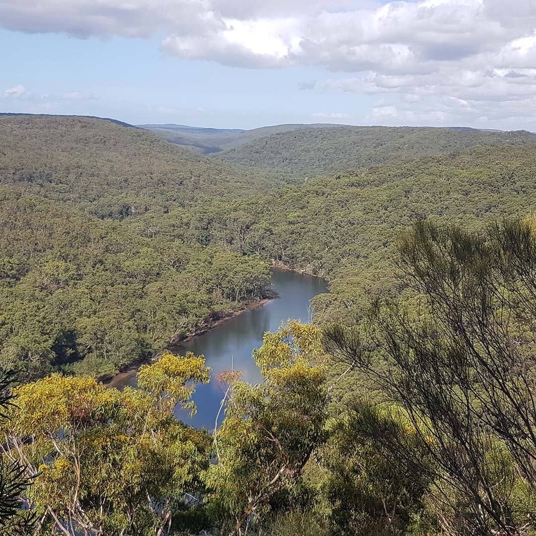 View from Bungoona Lookout, Royal National Park