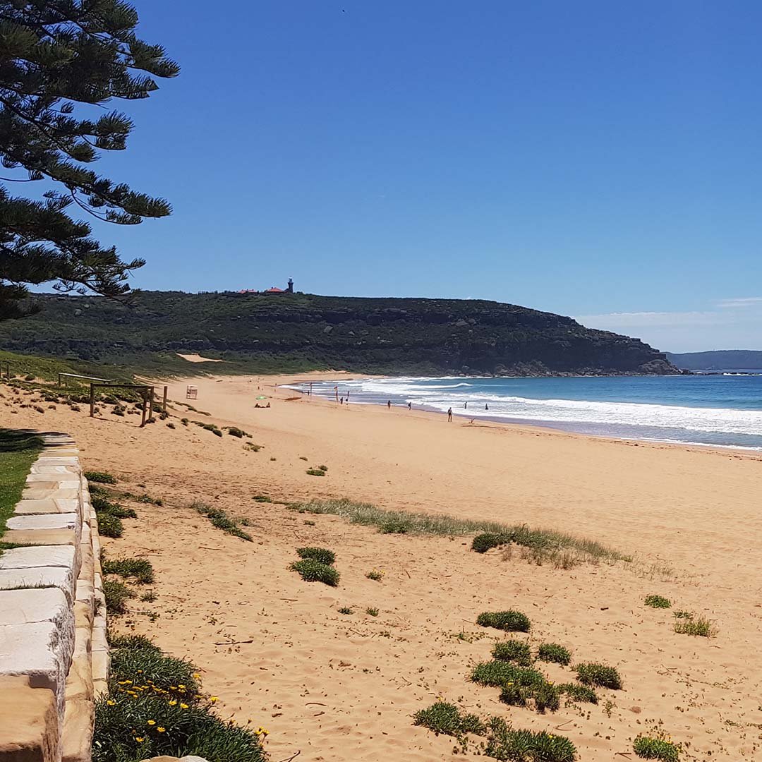 Palm Beach in Sydney's Northern Beaches