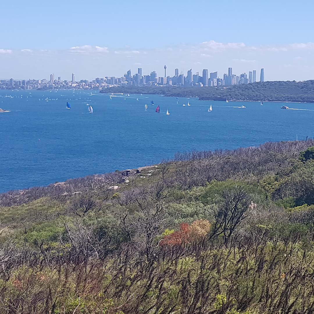 View from North Head Back through Sydney Harbour