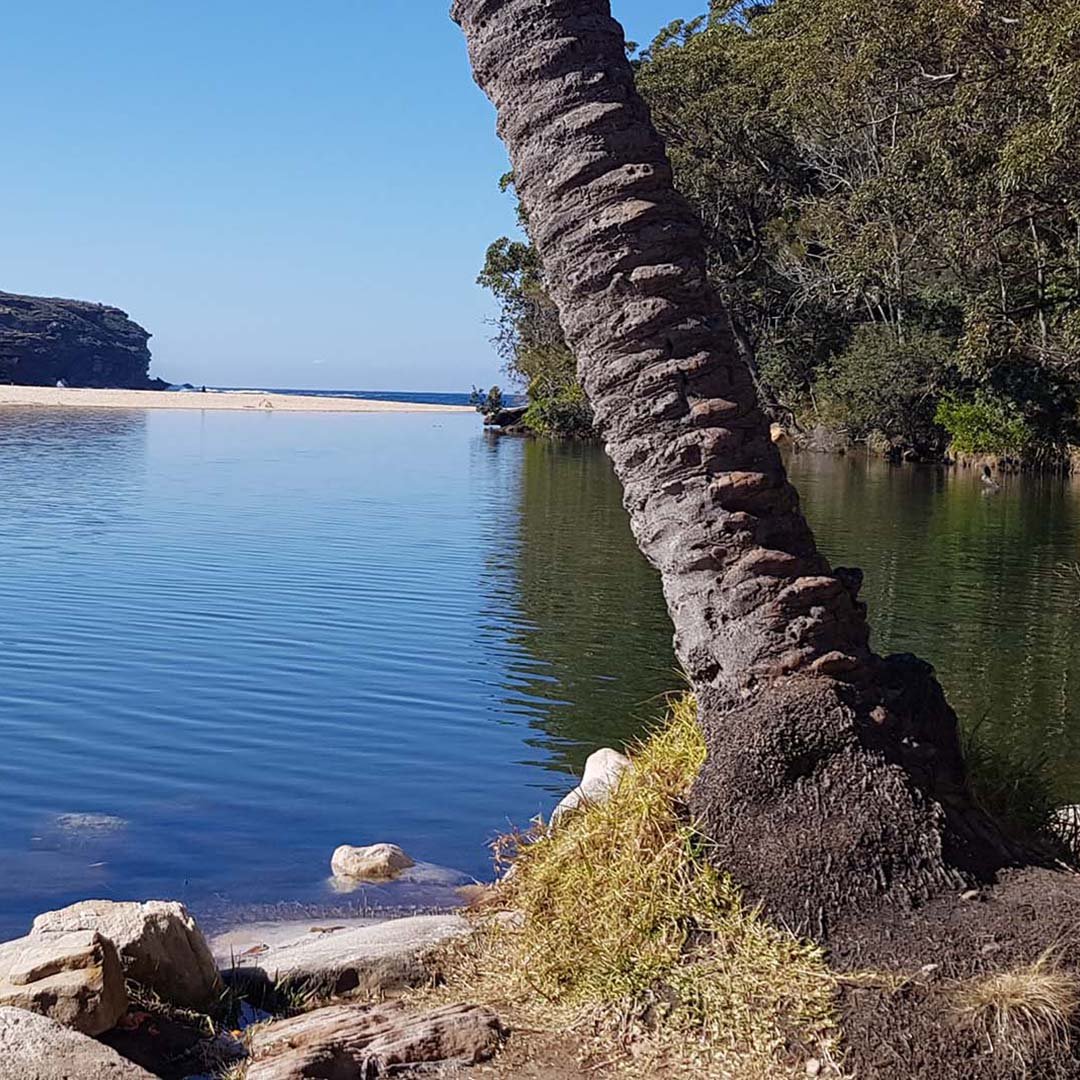 Hero image for the experience offer called: Private Royal National Park Tour